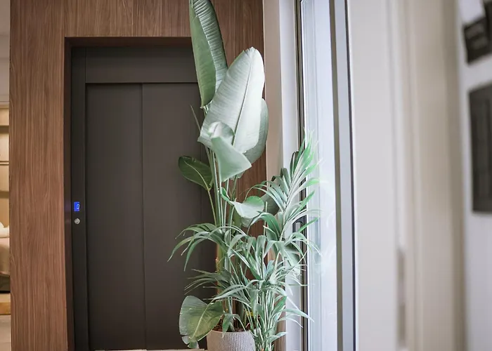 Muses 4* クルータ